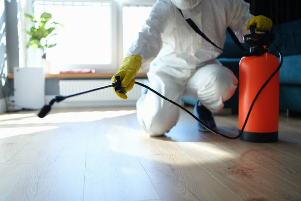 Reliable Biohazard Cleanup contractor in Camp Nelson, CA by Trauma Clean Pros